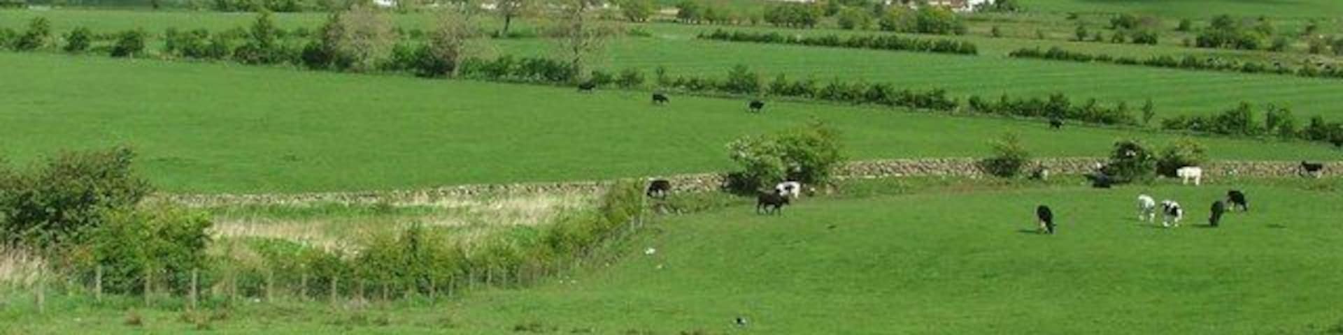 Looking across the Upper Nith Valley. The River Nith flows from left to right in the middle distance.