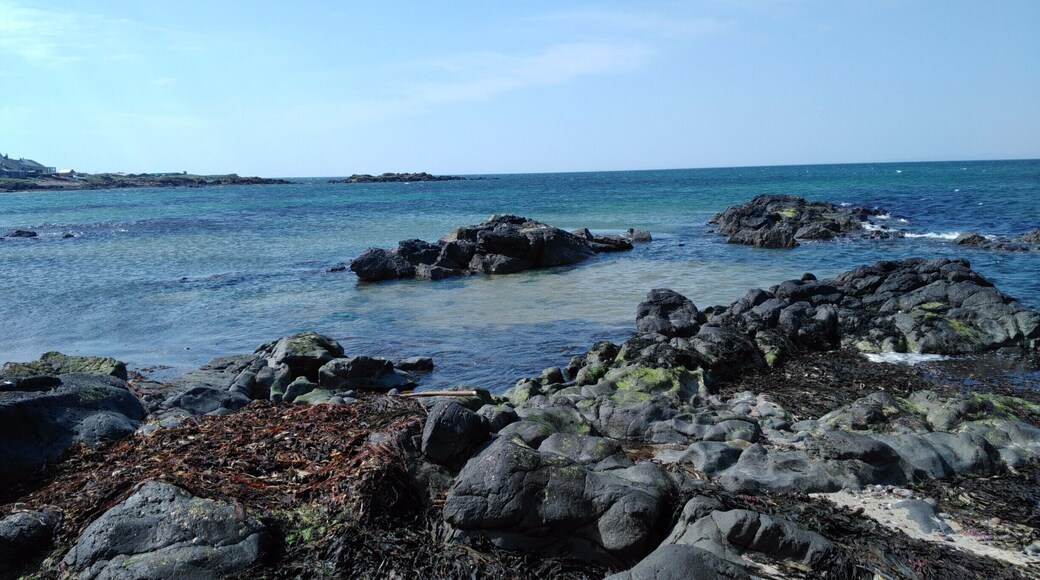 Kintyre trip, May 2016