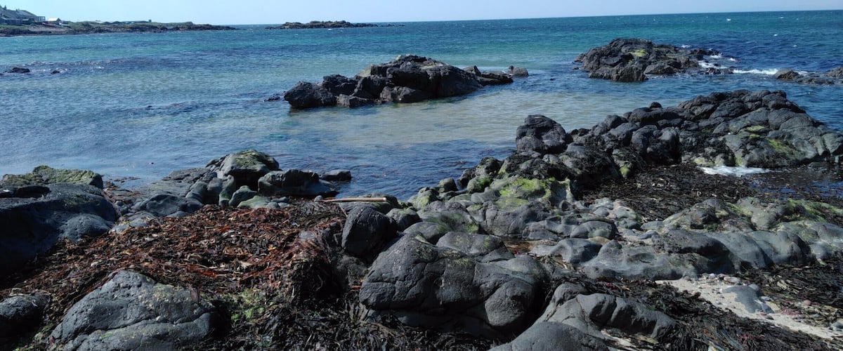 A rocky shoreline with clear blue water and distant land.
