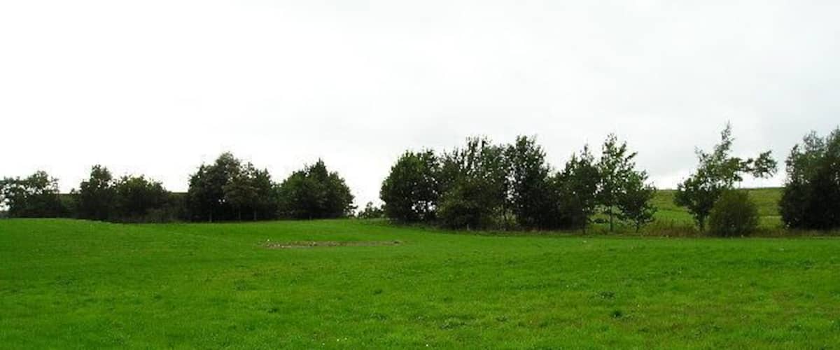 A green field with trees in the background.