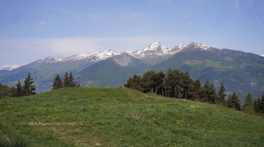 Meadow and mountains. View from Charvensod.