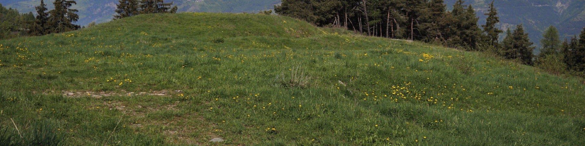 Meadow and mountains. View from Charvensod.