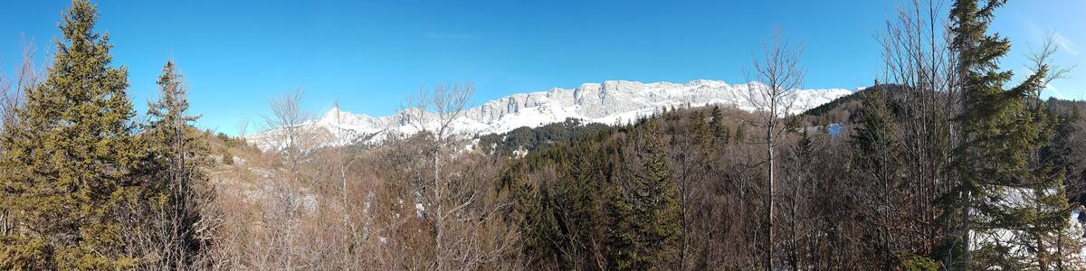 Photo Panoramique de la Montagne enneigée