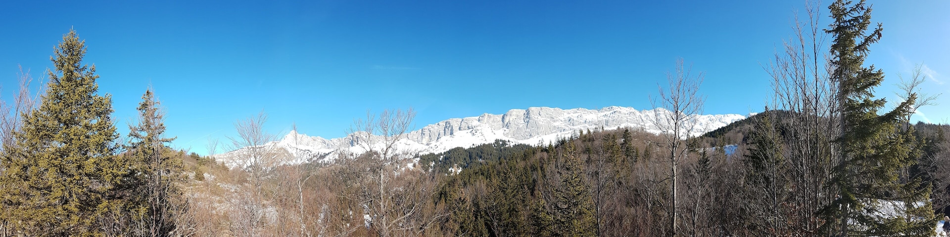 Photo Panoramique de la Montagne enneigée