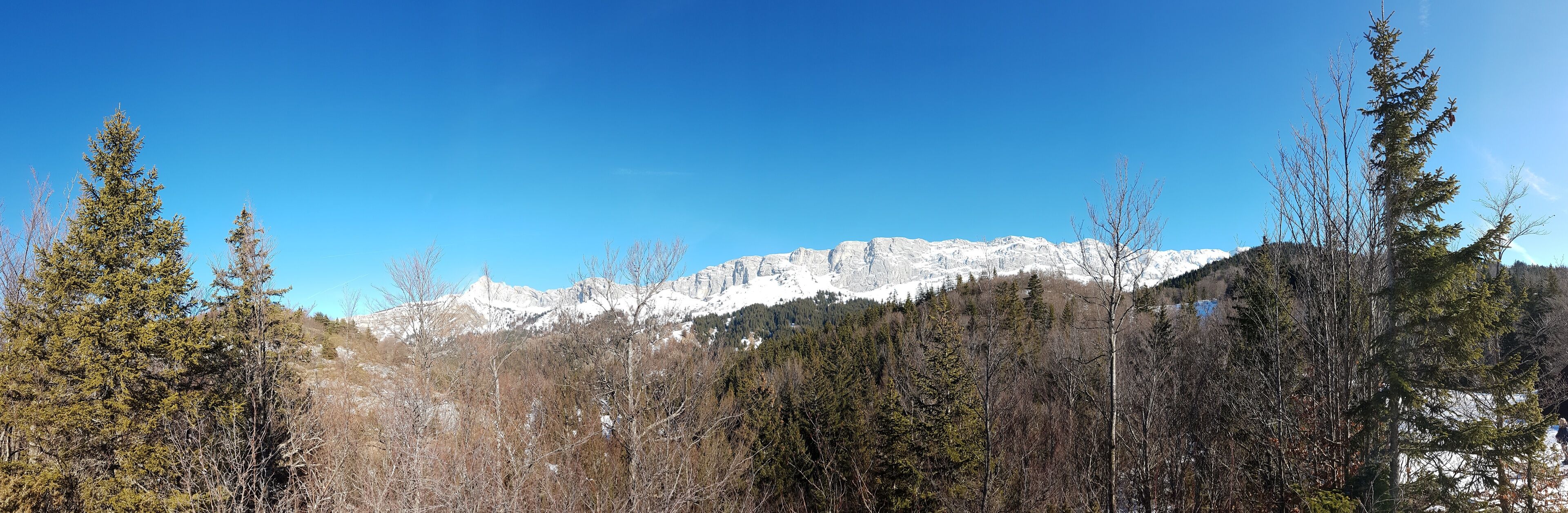 A mountain range with snow-capped peaks, dense forest, and clear blue sky.