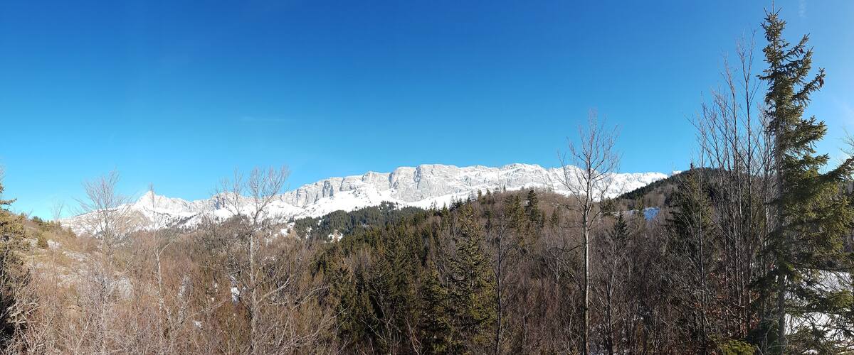 A mountain range with snow-capped peaks, dense forest, and clear blue sky.