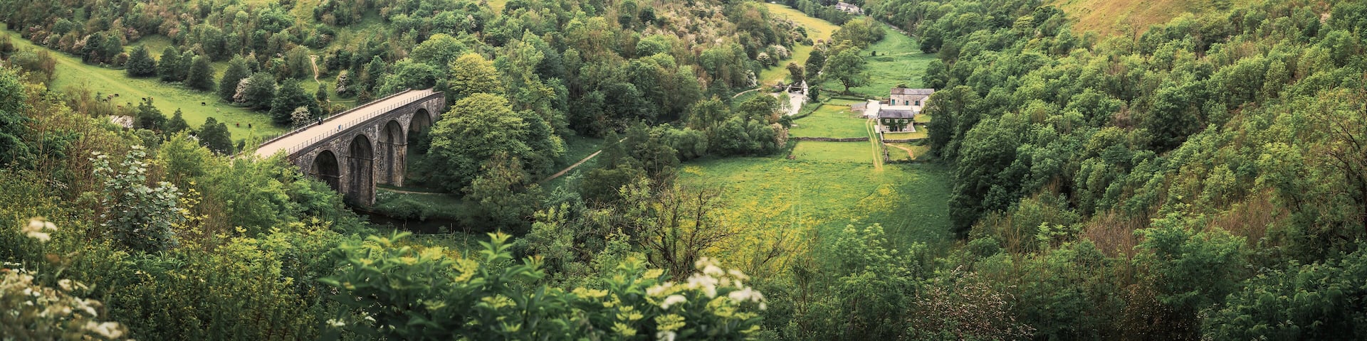 A valley with a stone bridge, lush greenery, and a house on a hill.