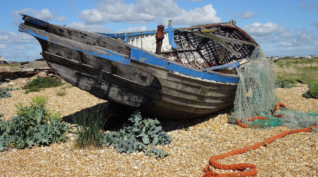A particular landscape: a huge pebble beach, debris, abandoned and rusted material, in the distance the threatening shape of a huge nuclear power plant, some lonesome wrecks… #LocalSecrets