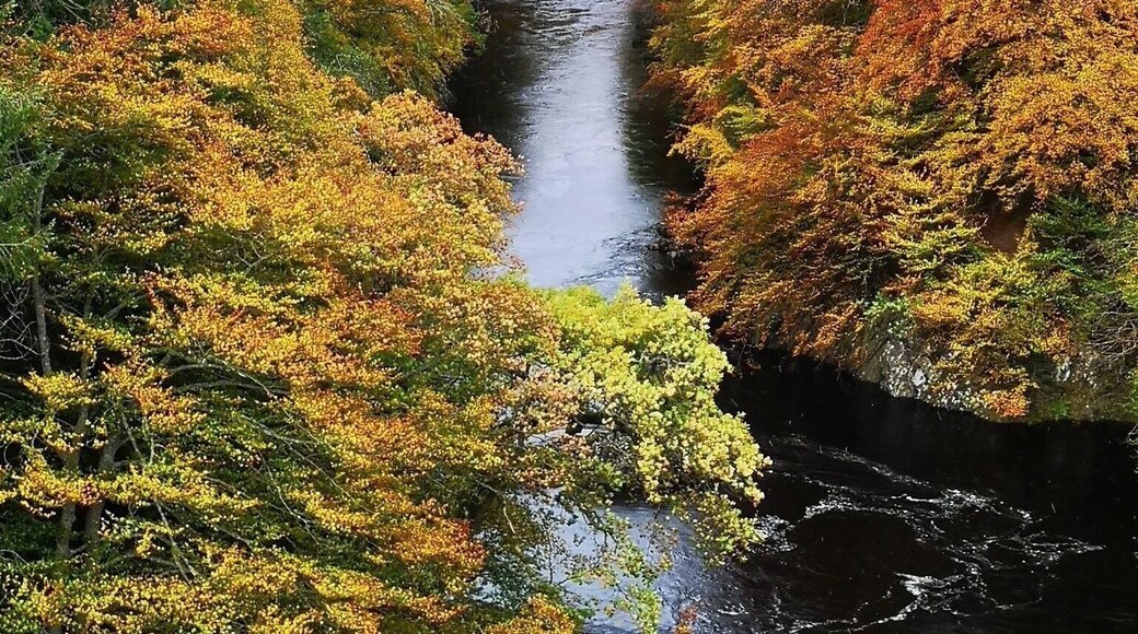 Killicrankie Bridge nr. Blair Atholl in the Perth and Kinross County of Scotland...awesome Autumn colours last week #GreatOutdoors