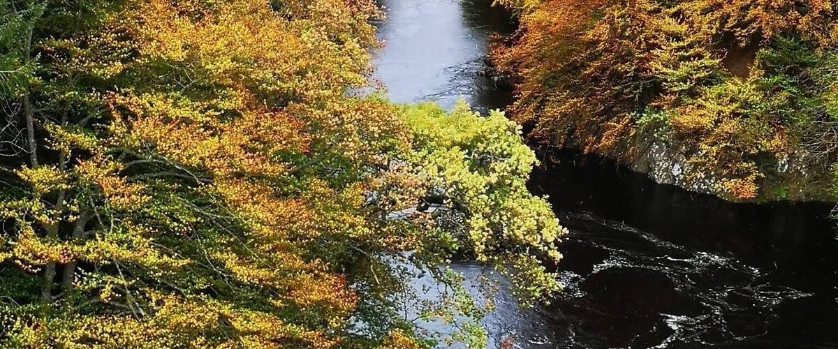 Killicrankie Bridge nr. Blair Atholl in the Perth and Kinross County of Scotland...awesome Autumn colours last week #GreatOutdoors