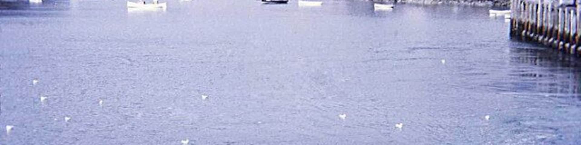 Tairbeart foreshore From the ferry with the ferry pier to the right.