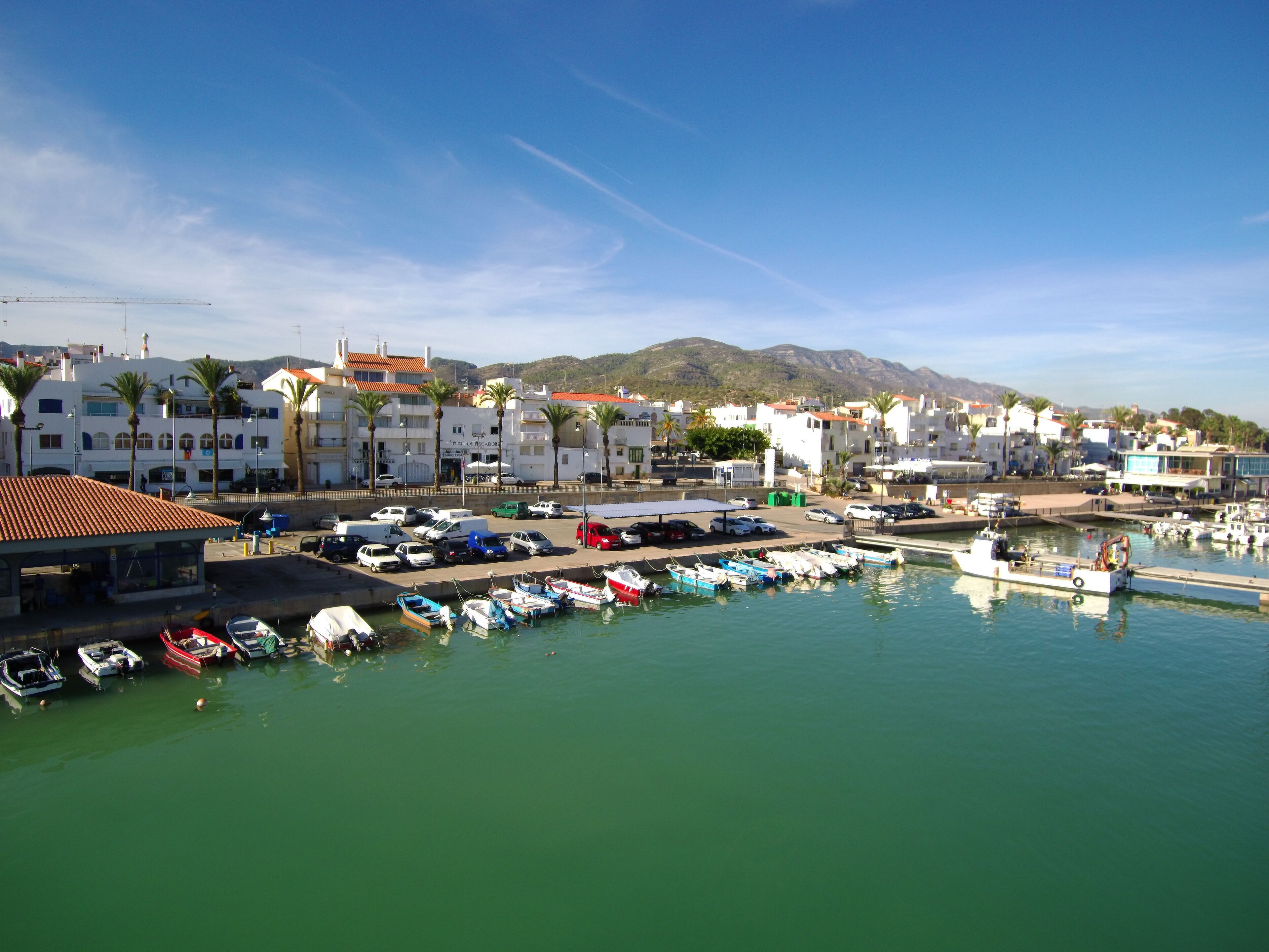 A marina with boats docked, a coastal town with white buildings and palm trees, and mountains in the background.