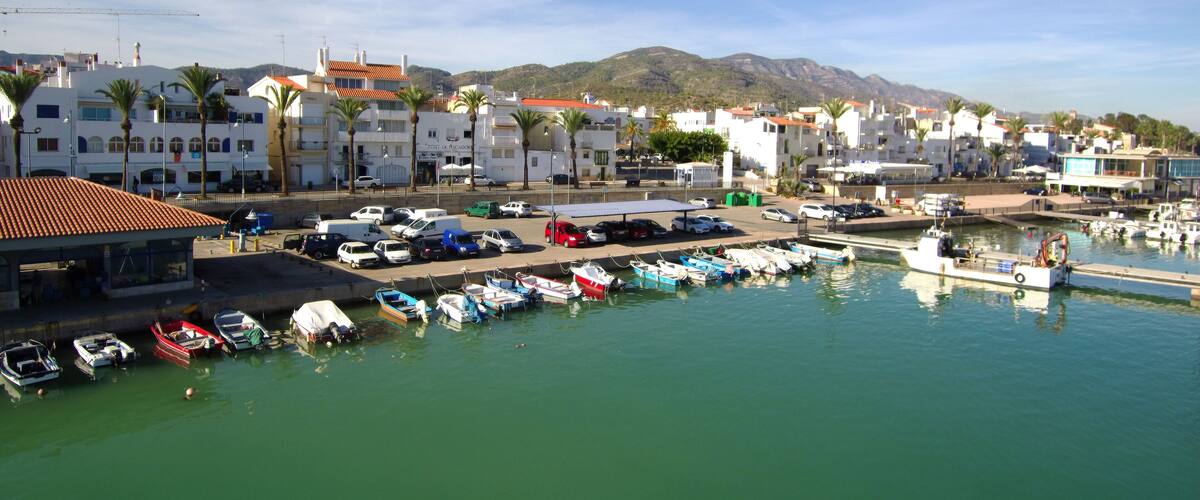 A marina with boats docked, a coastal town with white buildings and palm trees, and mountains in the background.