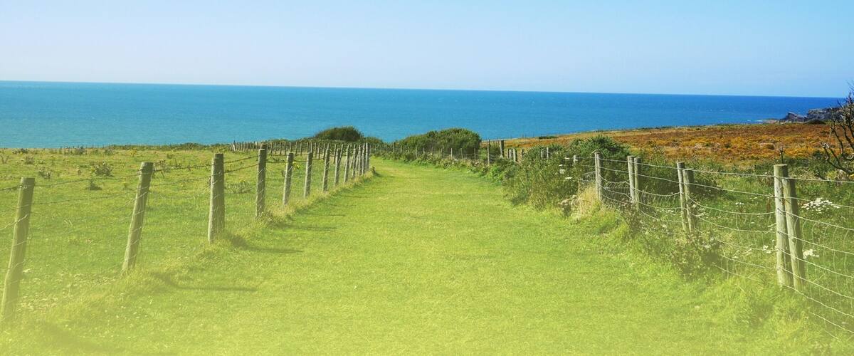 Cardigan Coastel farm. Ceredigion, West Wales. Stunning views! Always beautiful #green scenery