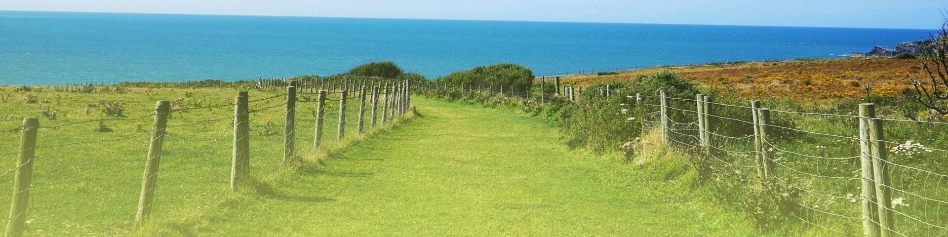 Cardigan Coastel farm. Ceredigion, West Wales. Stunning views! Always beautiful #green scenery
