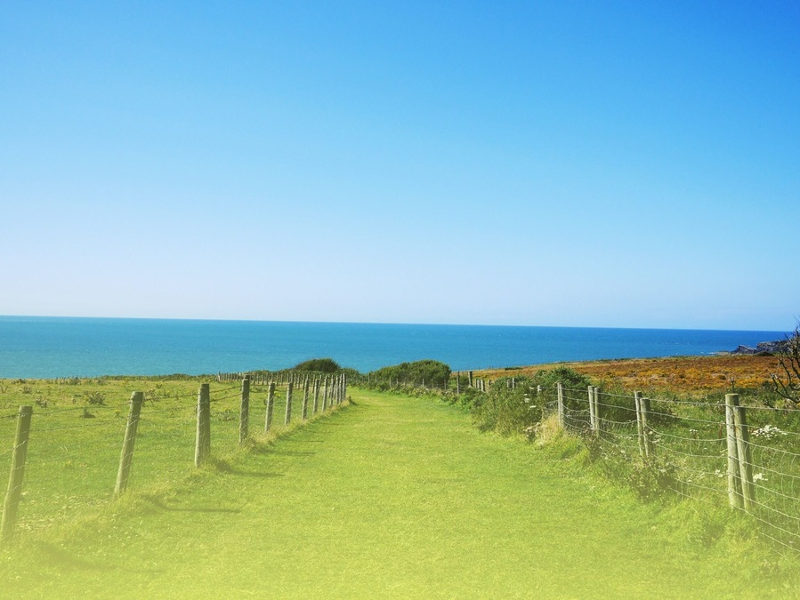 Cardigan Coastel farm. Ceredigion, West Wales. Stunning views! Always beautiful #green scenery