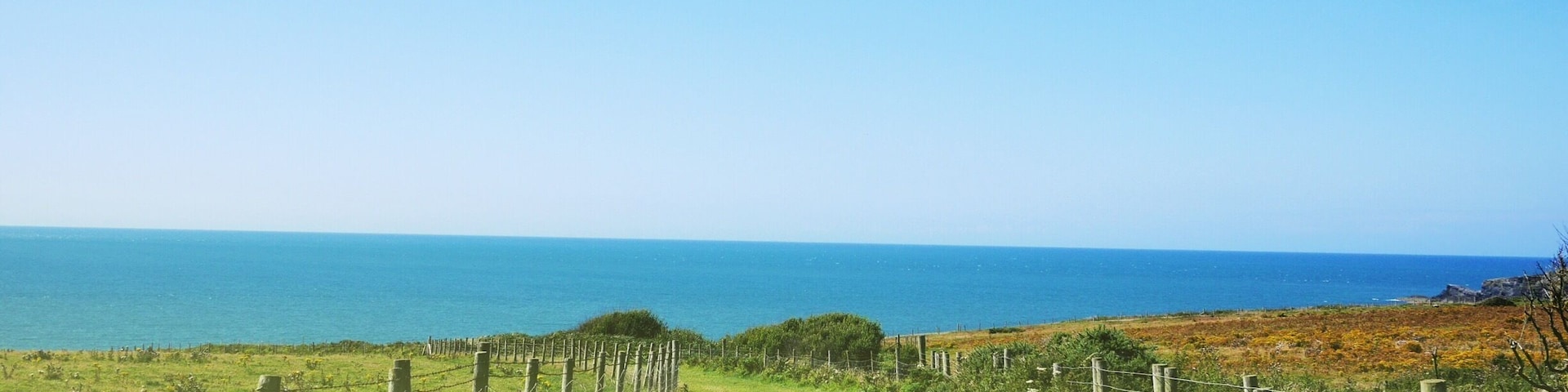 Cardigan Coastel farm. Ceredigion, West Wales. Stunning views! Always beautiful #green scenery