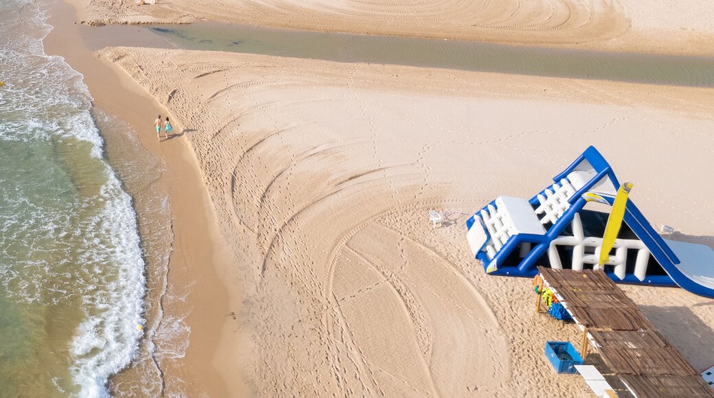 Aerial drone point of view empty beach of Mil Palmeras. Spain
