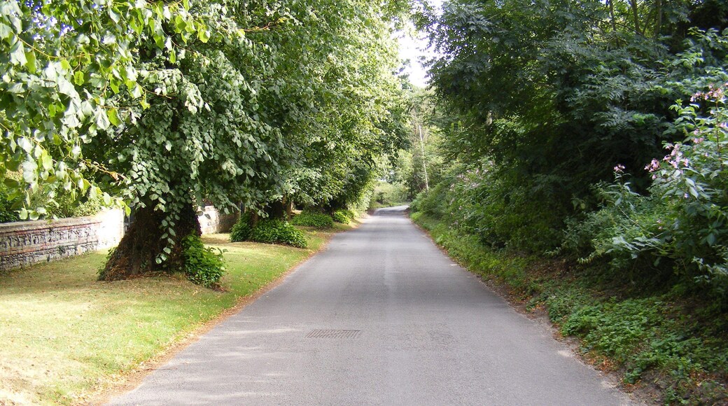 Church Street, Dunwich Looking towards Westleton Road