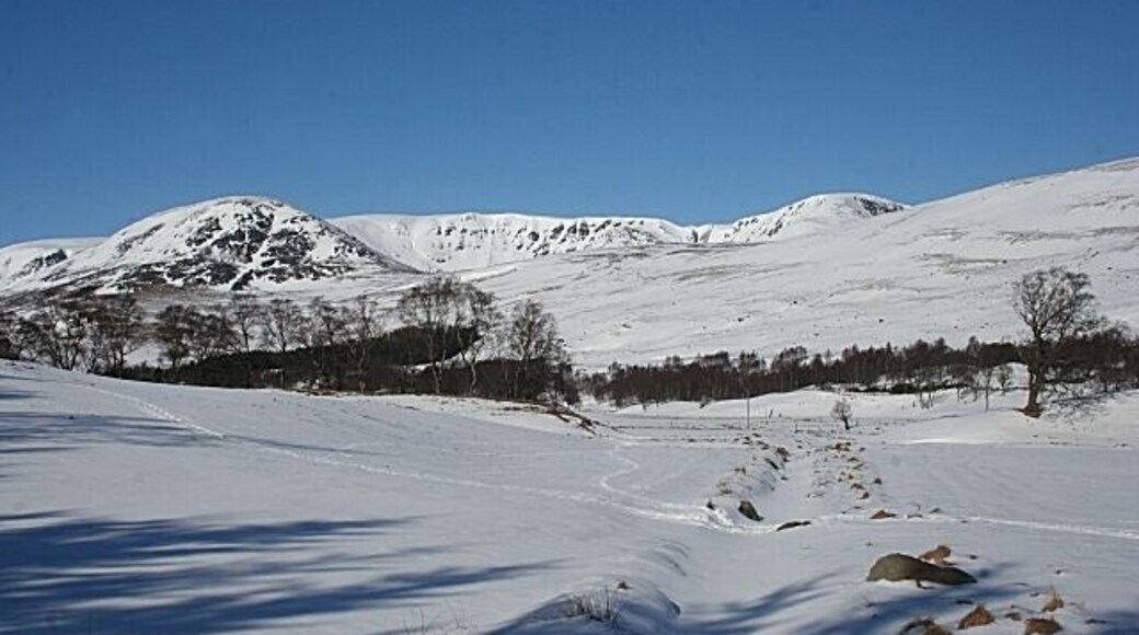 Looking towards Inchdowrie Only the foreground here is in square. Inchdowrie is at the far side of the glen. The hill on the left is Ben Reid (796 metres) and Loch Brandy is hidden in the corrie beneath the cliffs to its right. The highest point is Green Hill (870 metres).