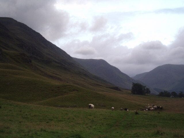 A grassy hillside with sheep grazing, rolling hills, and a cloudy sky.