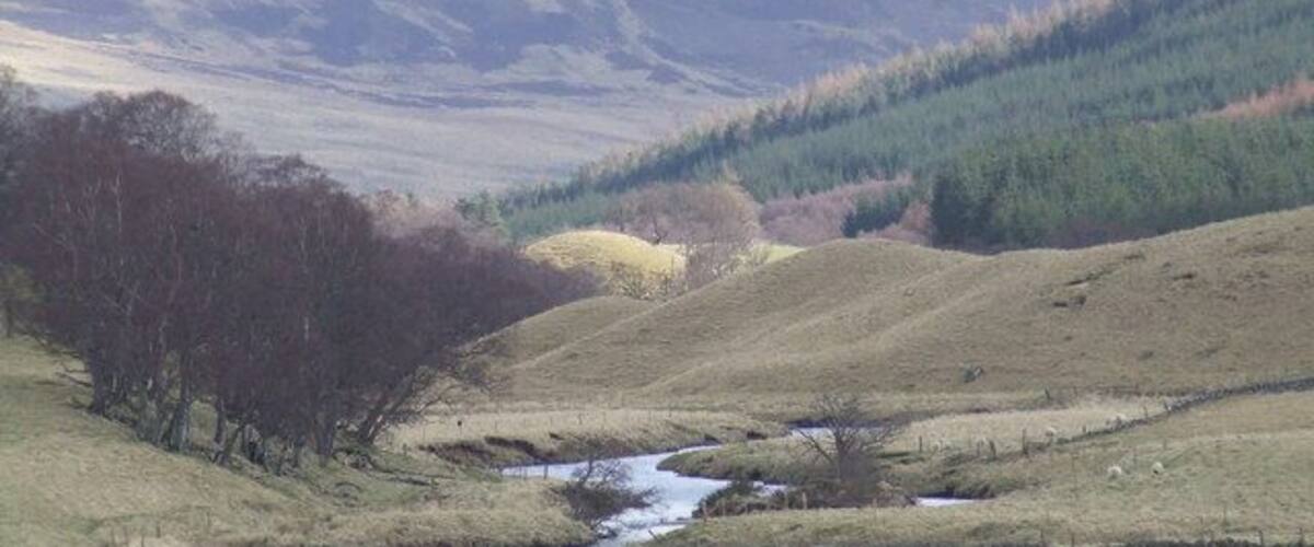 A valley with a stream, rolling hills, and a forested area.