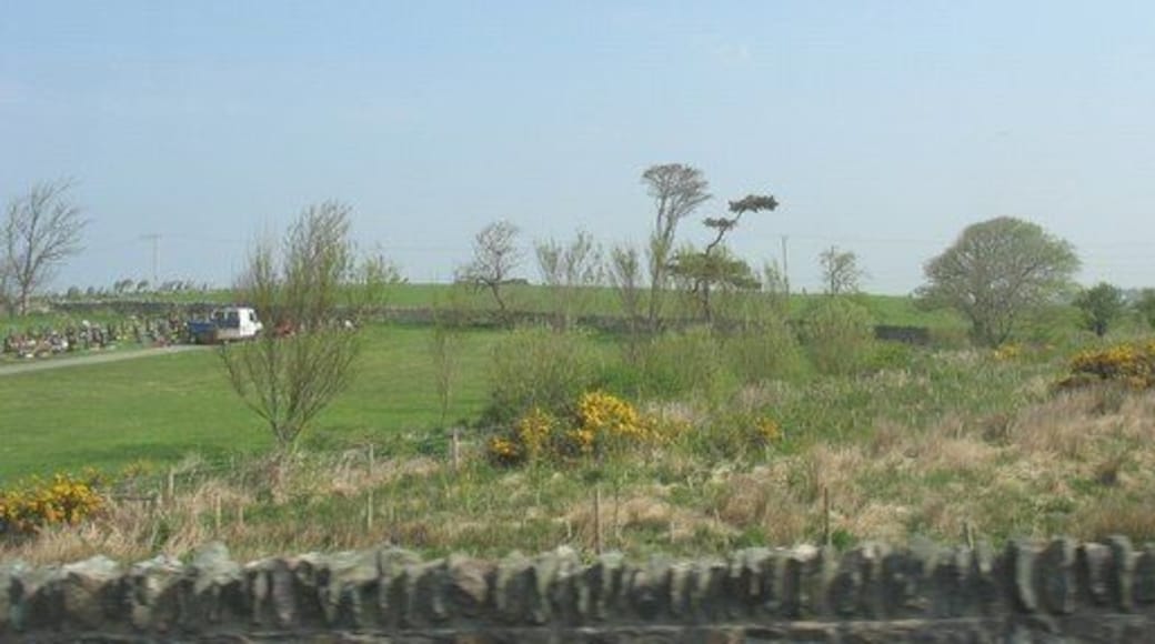 Stream, wetland, hill and cemetery on the eastern outskirts of Valley