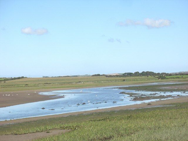 A river meandering through a flat landscape with grassy banks and distant trees.