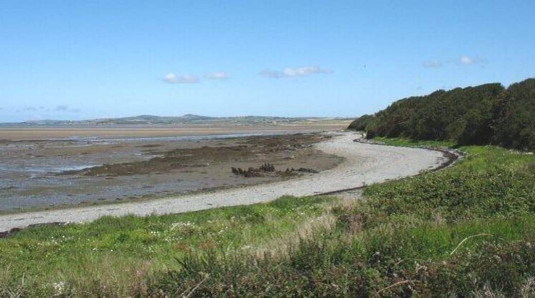 The foreshore south of Newlands Park
