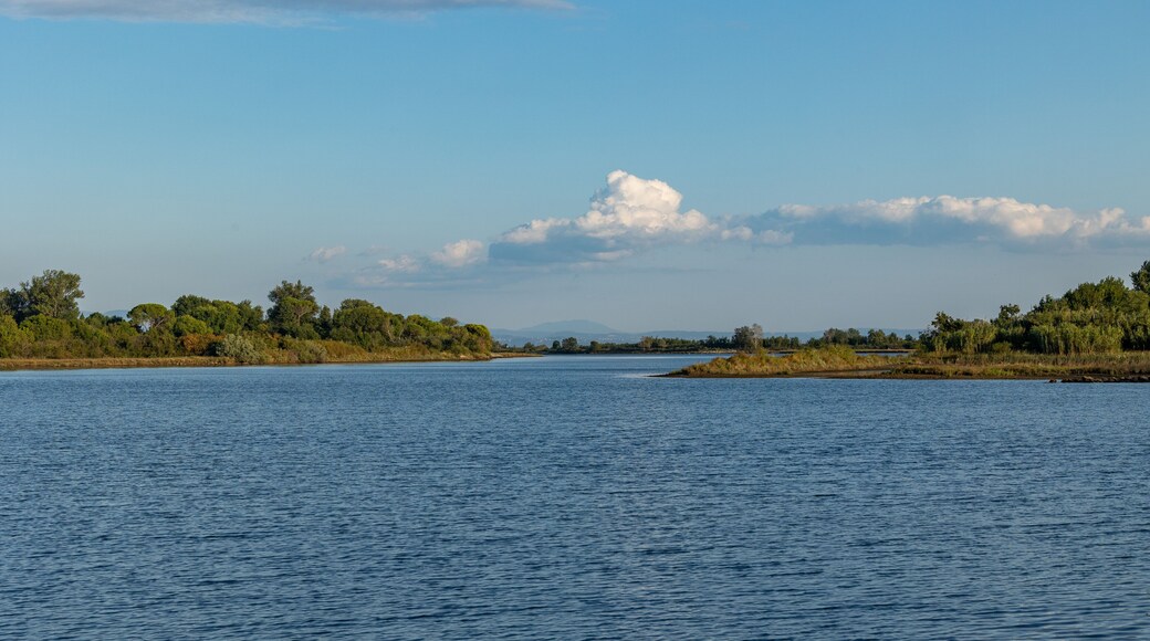 vista su un tranquillo ambiente di campagna tra la foce del fiume Isonzo ed il mare Adriatico, nel nord-est Italia, di giorno, in estate