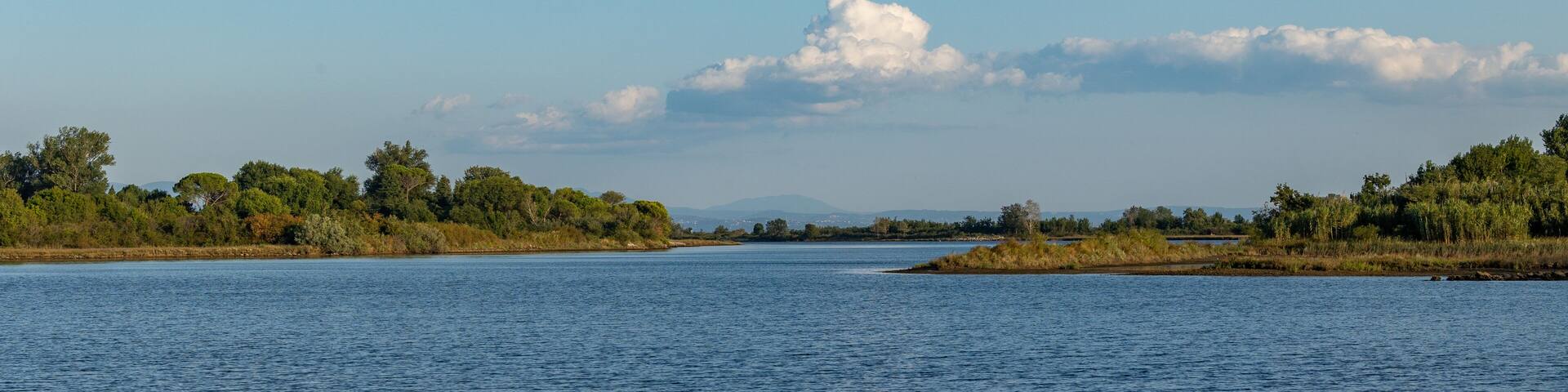 vista su un tranquillo ambiente di campagna tra la foce del fiume Isonzo ed il mare Adriatico, nel nord-est Italia, di giorno, in estate