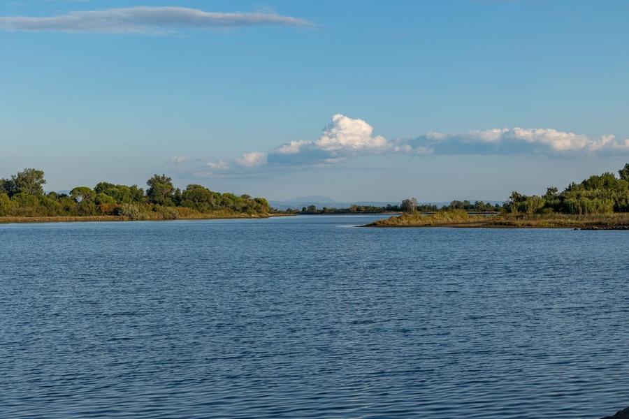 vista su un tranquillo ambiente di campagna tra la foce del fiume Isonzo ed il mare Adriatico, nel nord-est Italia, di giorno, in estate