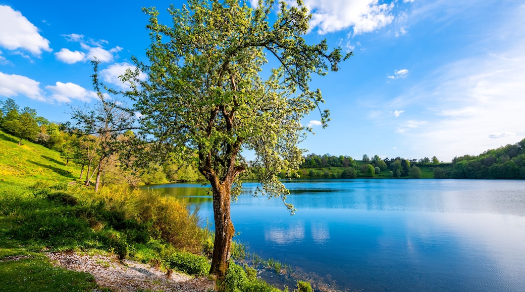 Un lago tranquilo rodeado de vegetación exuberante y un cielo azul despejado.