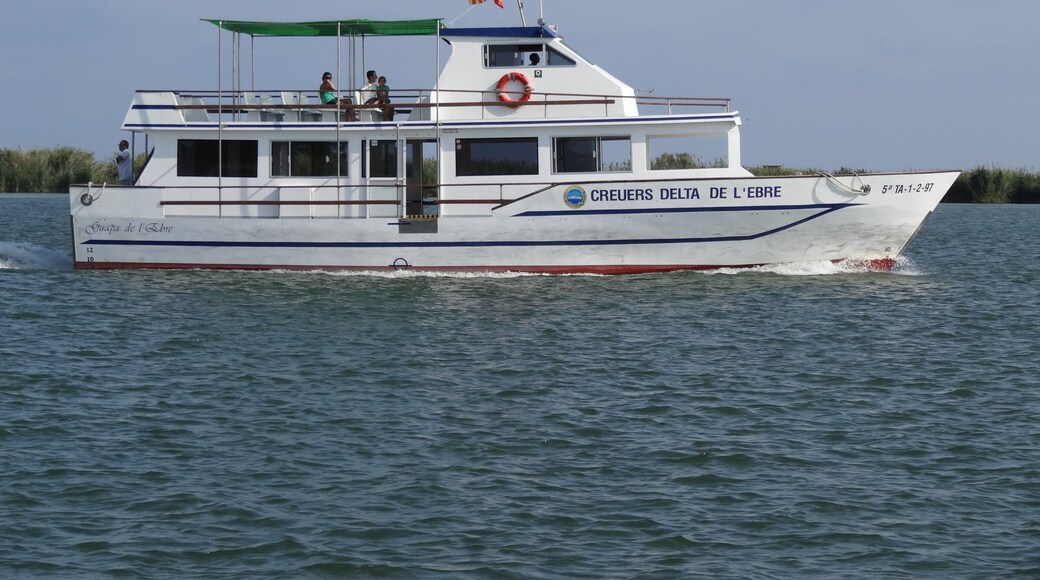 Ship Guapa de l'Ebre