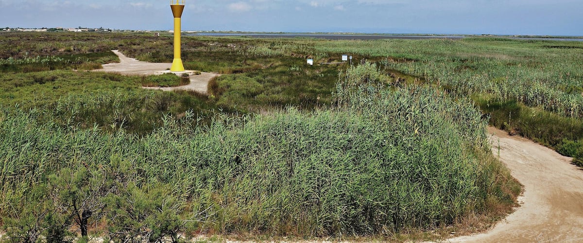 parque natural del delta-2011