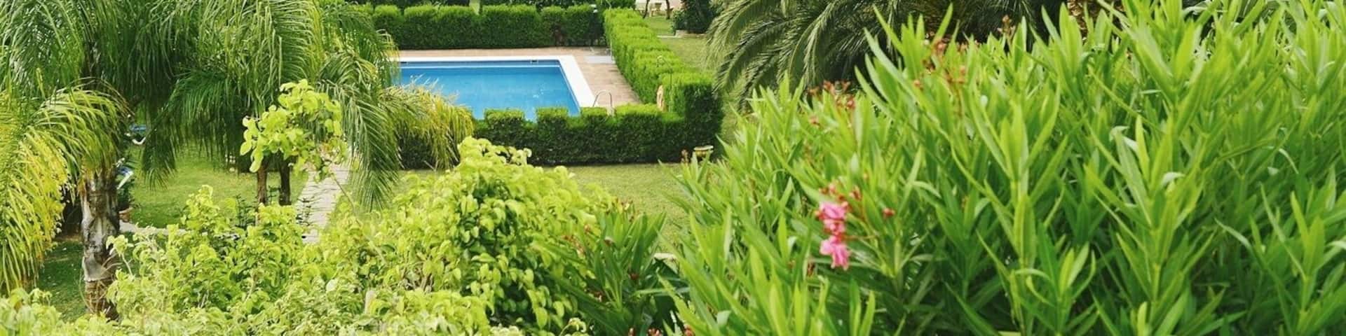 Province of Cadiz gets most rainfall in all of Andalusia and stays green during summer. Province of Cadiz beaches are a must visit place if you are in Andalusia in summer! They are famous among kitesurfers because of the Atlantic winds and among regular beach lovers. This photo was taken at one of the hotels just off the beach in the most famous place in this area for kitesurfing - Valdevaquers. #green