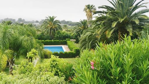 Province of Cadiz gets most rainfall in all of Andalusia and stays green during summer. Province of Cadiz beaches are a must visit place if you are in Andalusia in summer! They are famous among kitesurfers because of the Atlantic winds and among regular beach lovers. This photo was taken at one of the hotels just off the beach in the most famous place in this area for kitesurfing - Valdevaquers. #green