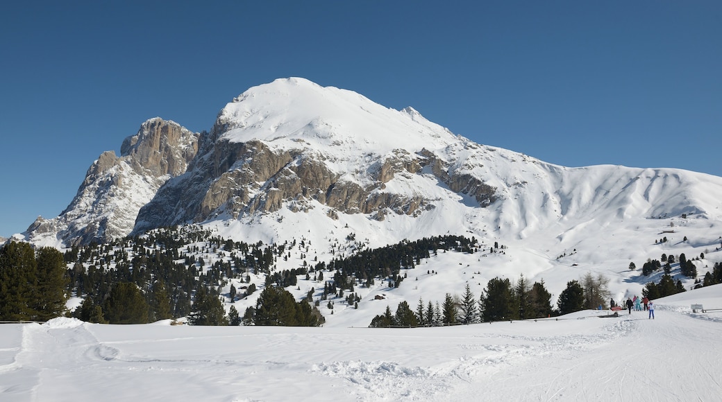 The Plattkofel from the Seiser Alm in South Tyrol
