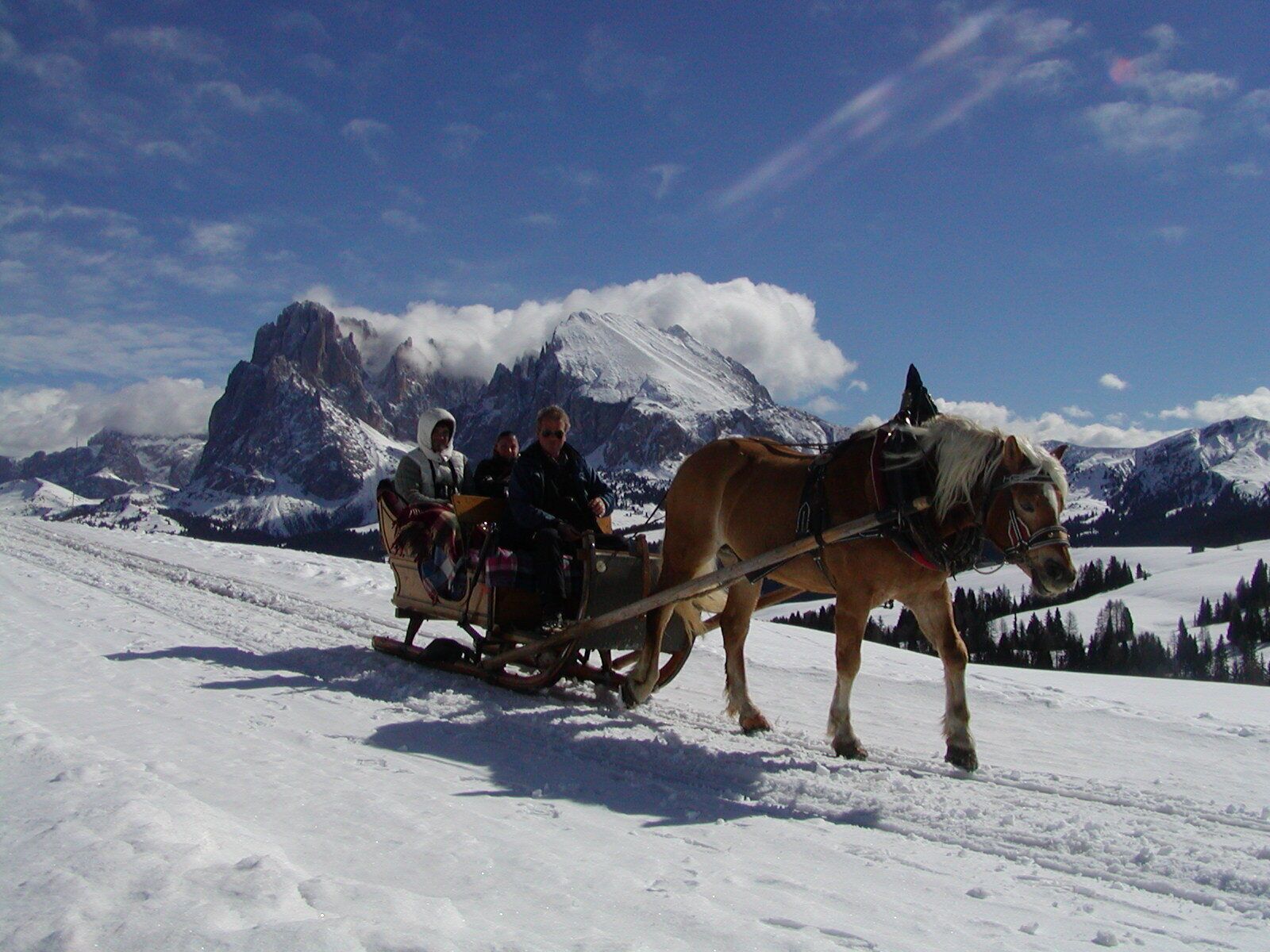 Slitta trainata da cavalli su una montagna innevata, con passeggeri e cime innevate sullo sfondo.