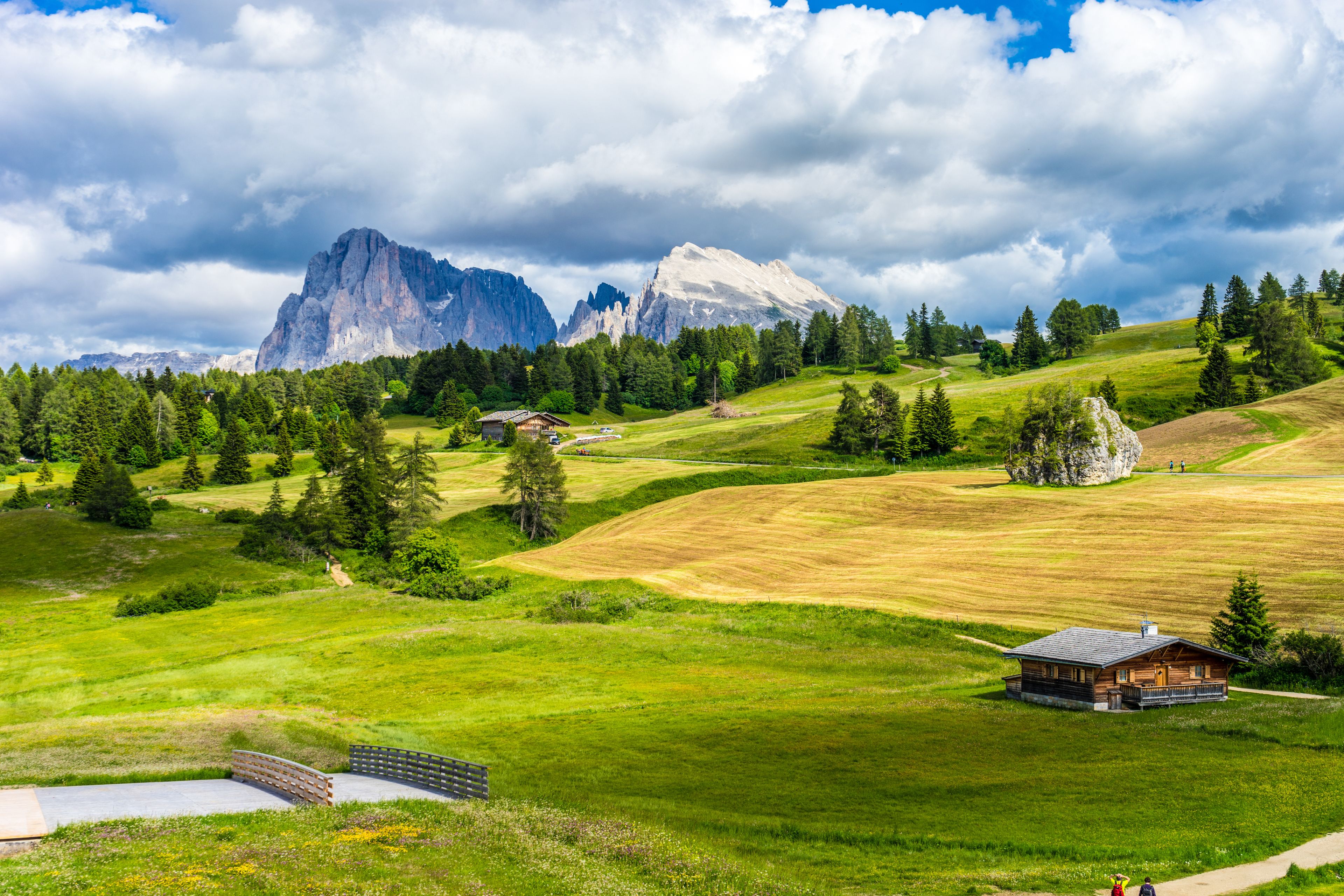 Alpe di Siusi, Seiser Alm with Sassolungo Langkofel Dolomite, a field with a mountain in the background