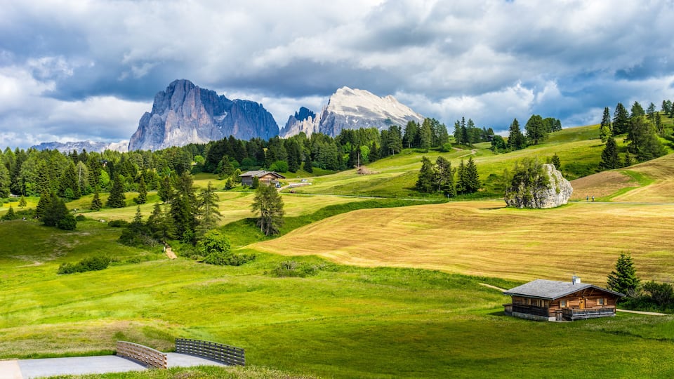 Alpe di Siusi, Seiser Alm with Sassolungo Langkofel Dolomite, a field with a mountain in the background