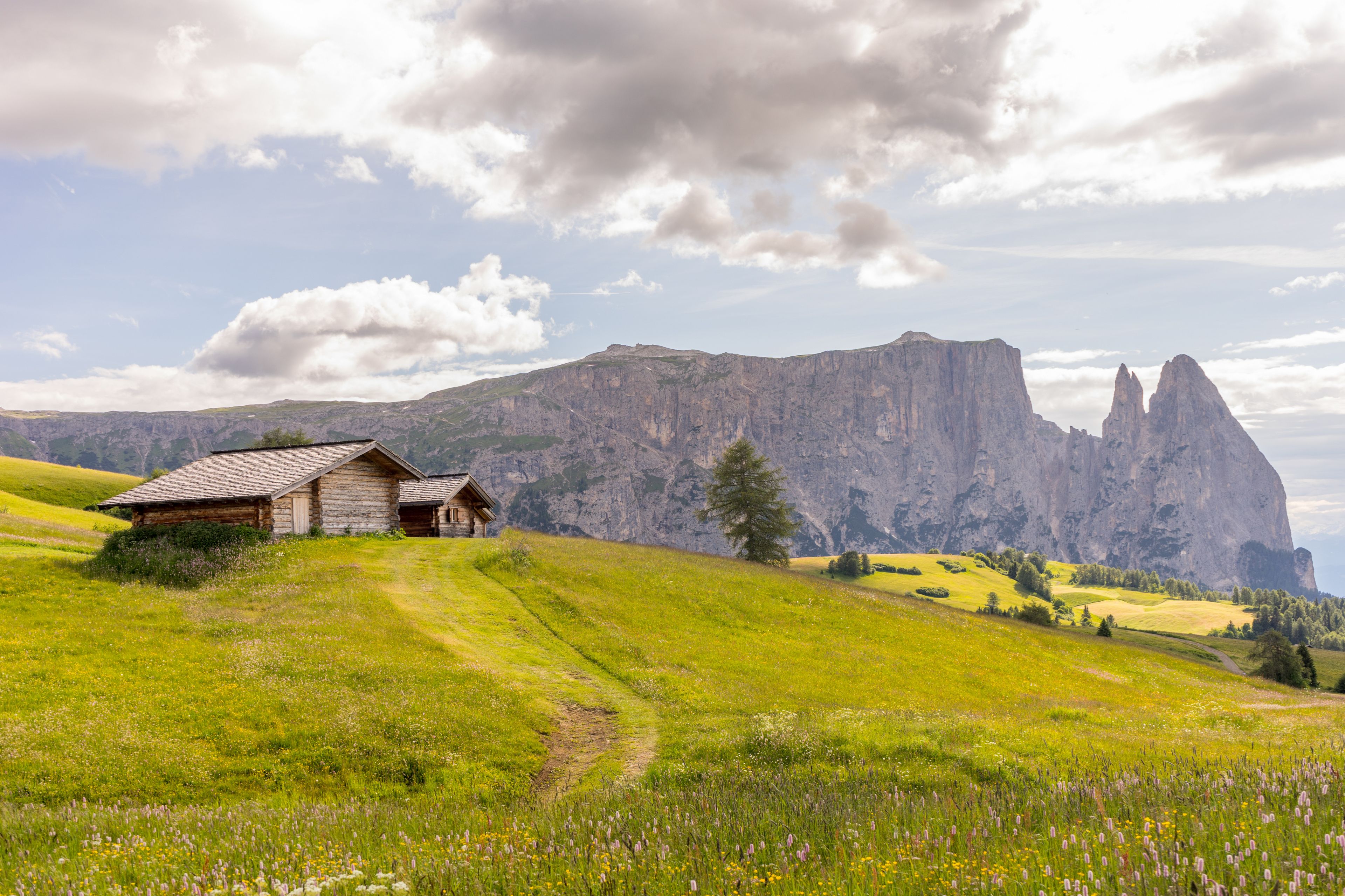Italy, Alpe di Siusi, Seiser Alm with Sassolungo Langkofel Dolomite, an old barn in a field