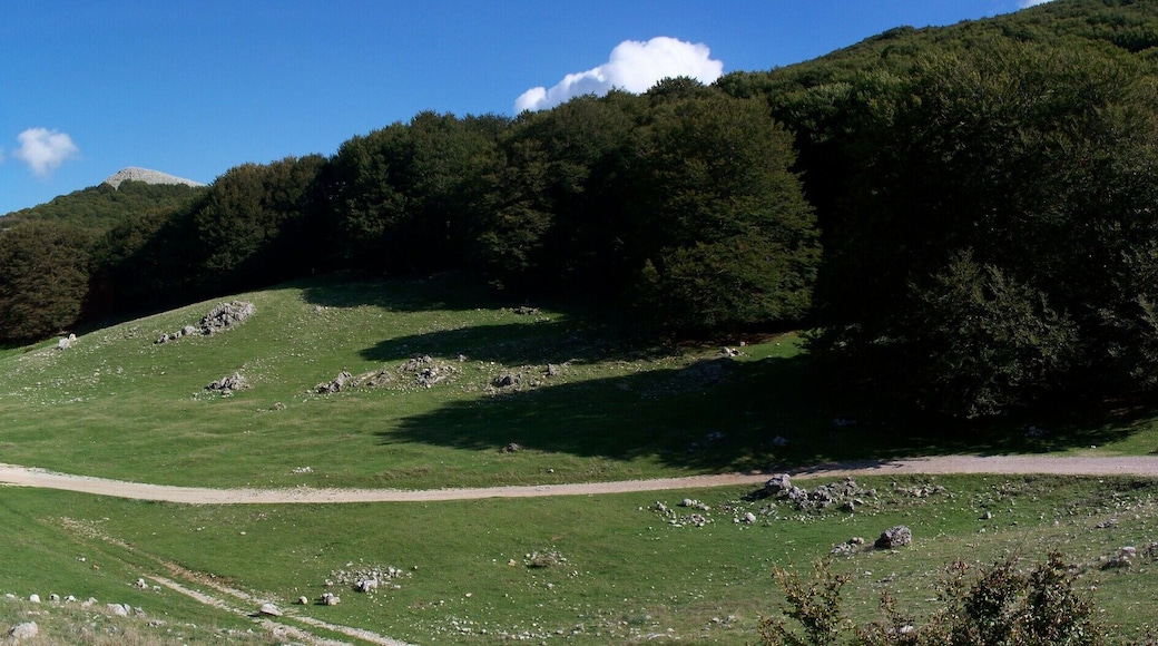 Piano Battaglia - Autunno