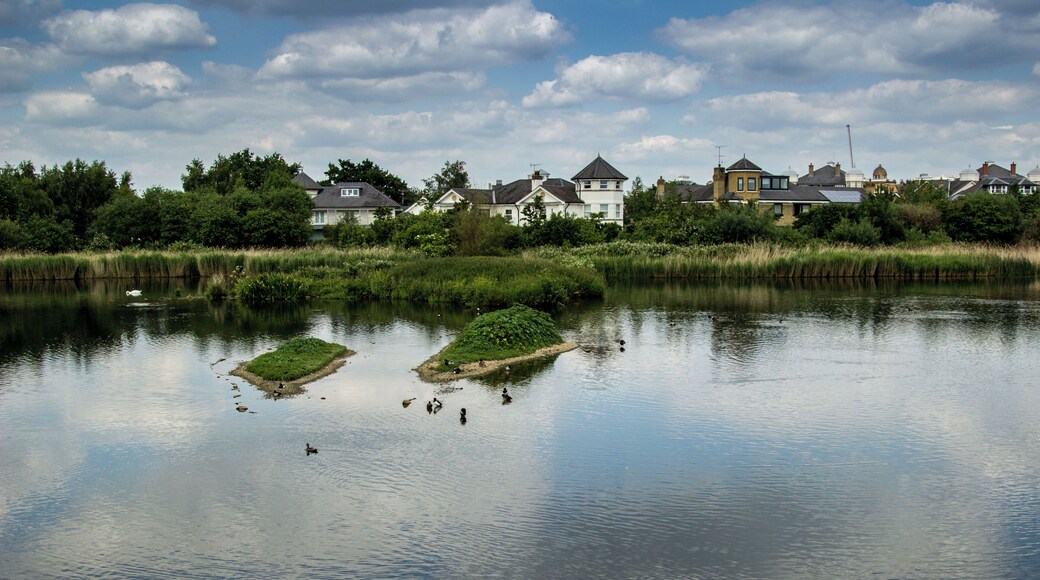 Taken from Peacock Tower
