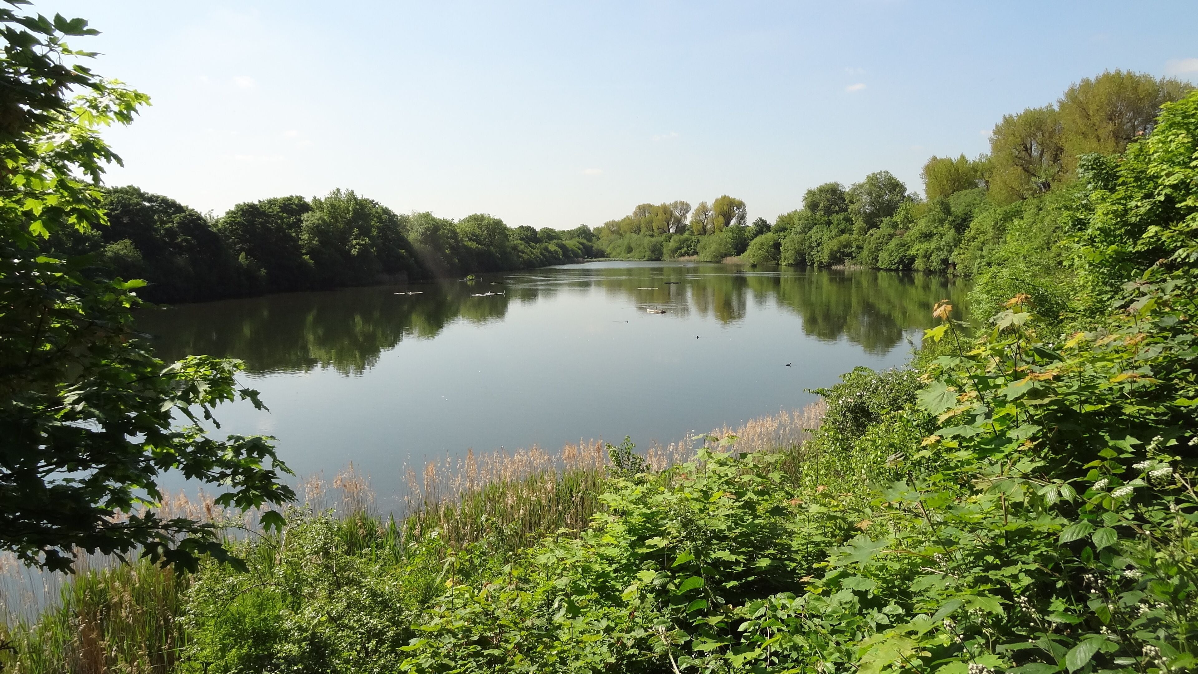 Lonsdale Road Reservoir in Barnes, London