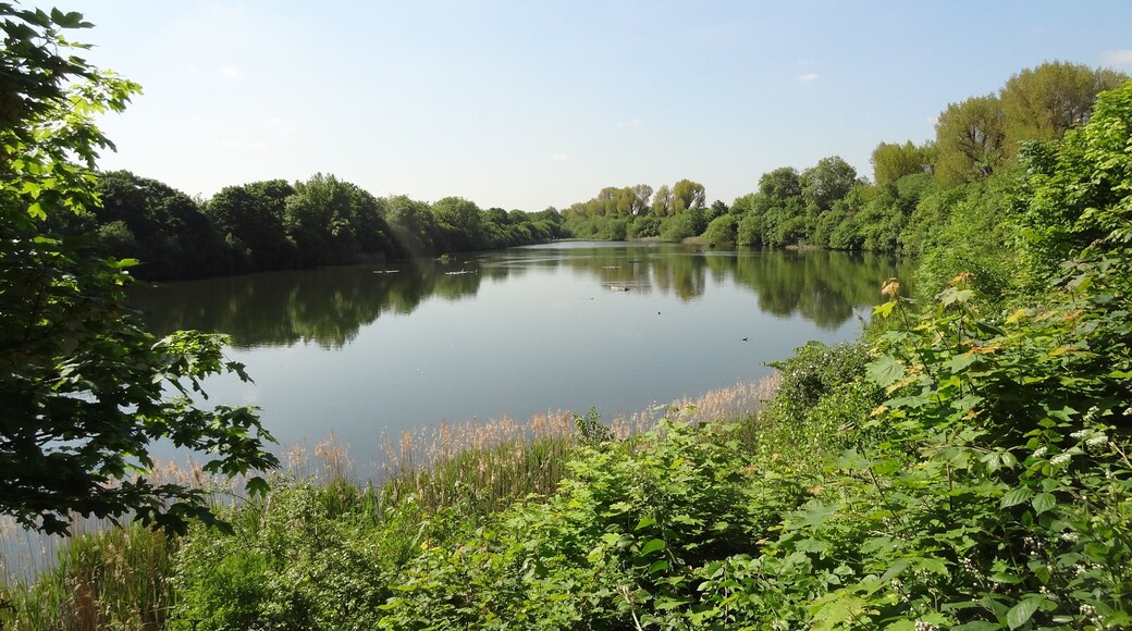 Lonsdale Road Reservoir in Barnes, London