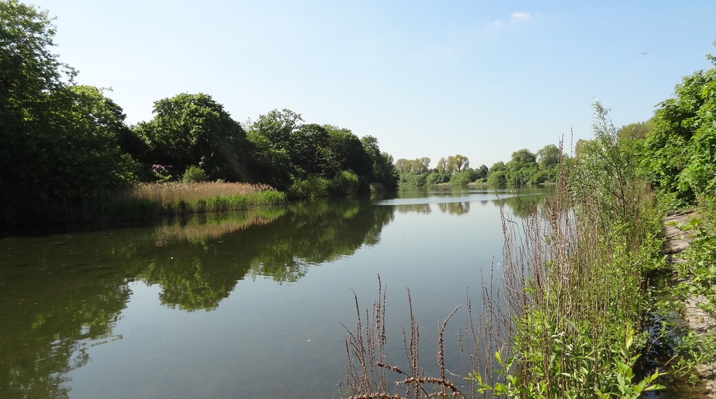Lonsdale Road Reservoir in Barnes, London