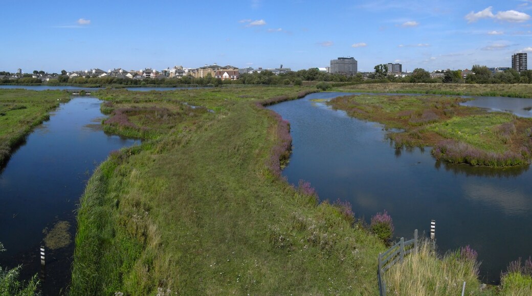 Lagoons at the London Wetland Centre, from the Peacock Tower hide.