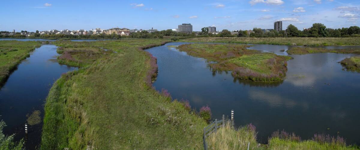 Lagoons at the London Wetland Centre, from the Peacock Tower hide.