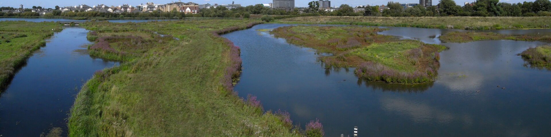 Lagoons at the London Wetland Centre, from the Peacock Tower hide.